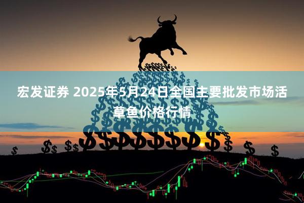 宏发证券 2025年5月24日全国主要批发市场活草鱼价格行情